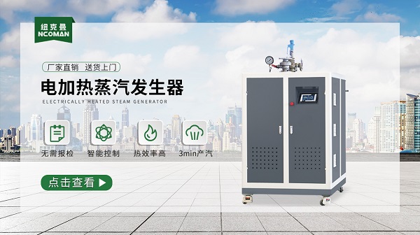 电加热蒸汽发生器该怎么检测好坏??方法?