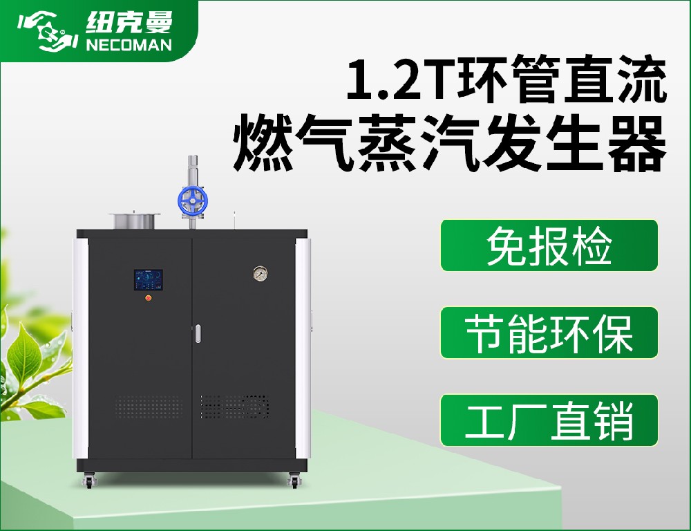 1.2吨 燃油燃气蒸汽发生器